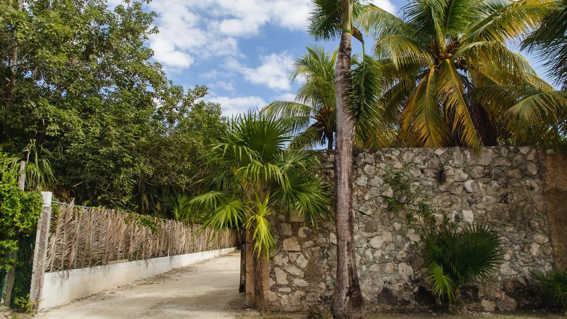 Angelina 28 Beachfront And Family Apartments - Modern And Relaxing Long Stays - 20 Min From Cancun Airport 푸에르토 모렐로스